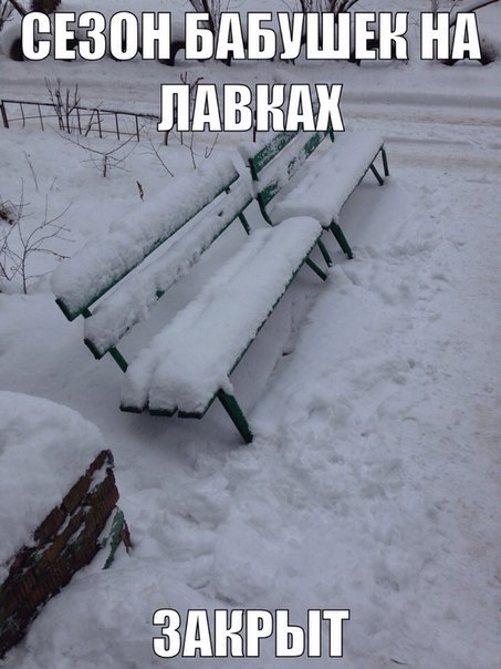 Подборка безудержного веселья