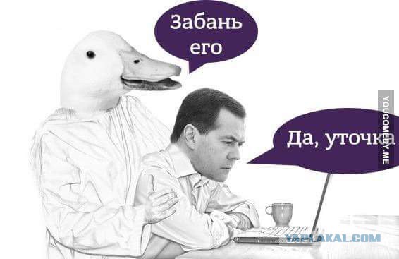Медведев забанил Навального в Instagram