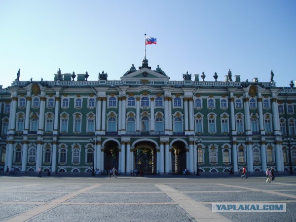 Алексея Навального облили зелёнкой в Москве