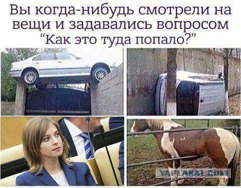 Поклонская рассказала, как Николай II защищает Донбасс