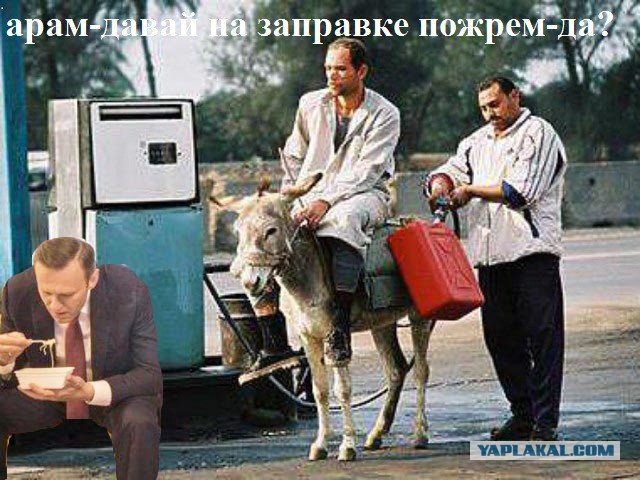 Фотошоп: А. Навальный и доширак