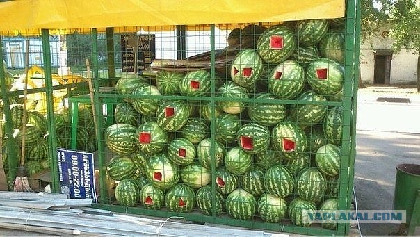 Такой оргазм нам не нужен
