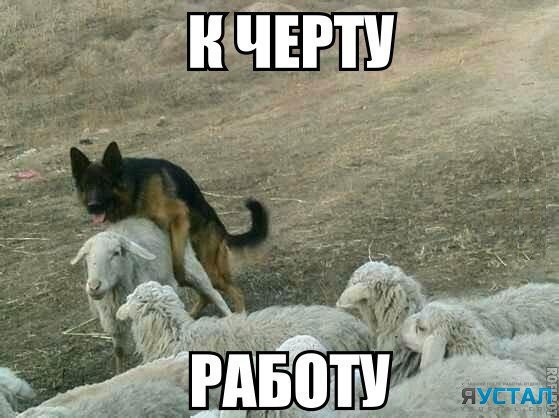 Картинки с просторов интернета
