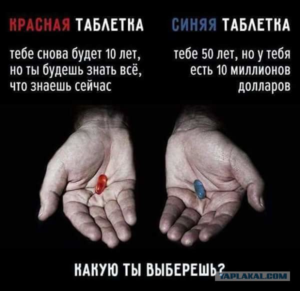 О животных и жывотных