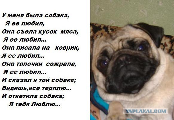 Спустя 13 лет