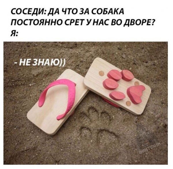 Нестандартный юмор