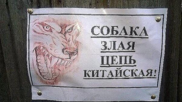 Прикольные картинки