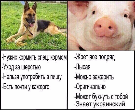 Немного картинок на вечер
