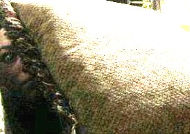 Иду на кухню...включаю свет...а там