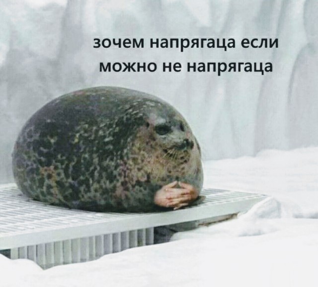 Немного картинок в эту субботу