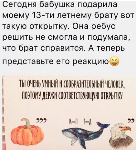 стырнета