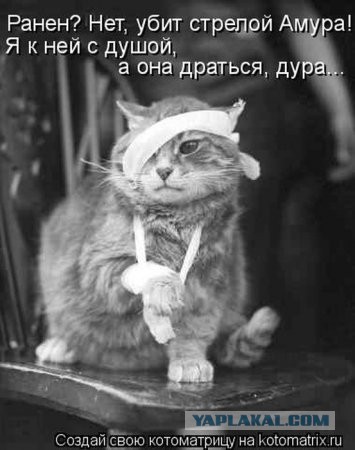 Девушки в шоке! Парни перестали с ними знакомиться!