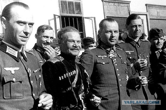 За что так не любят казаков?