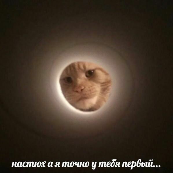 Комментарии, картинки всякие