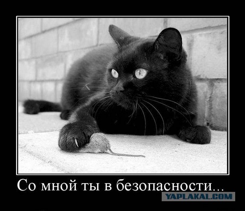 Древние мемы с ВК. Для тех кто забыл