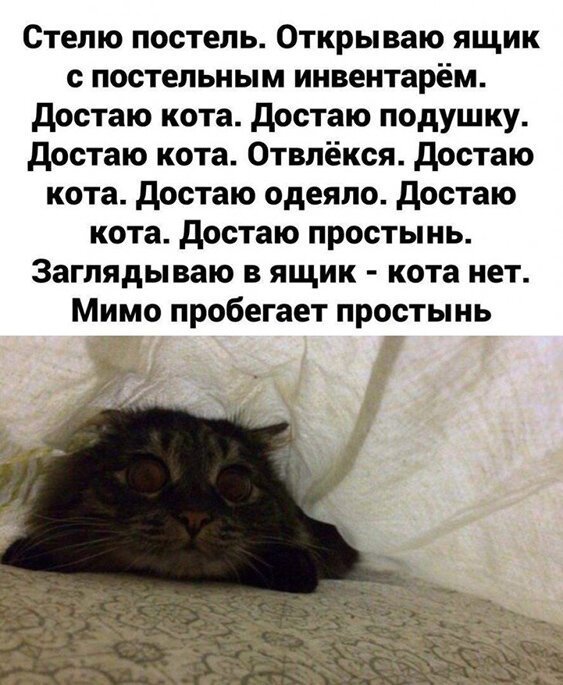 Алкопост! В картинках