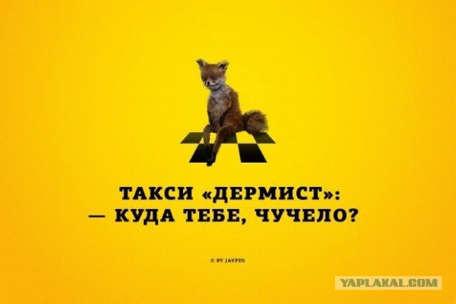 Ура! Мне подключили интенет! (БАЯНЫ)
