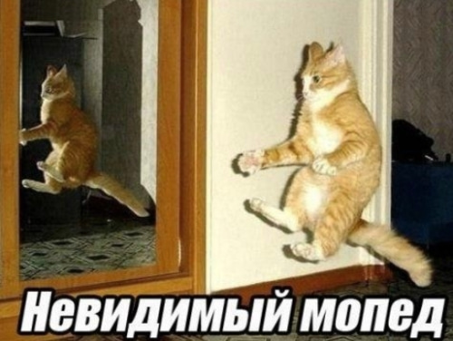 Чуток картинок 14.05.20