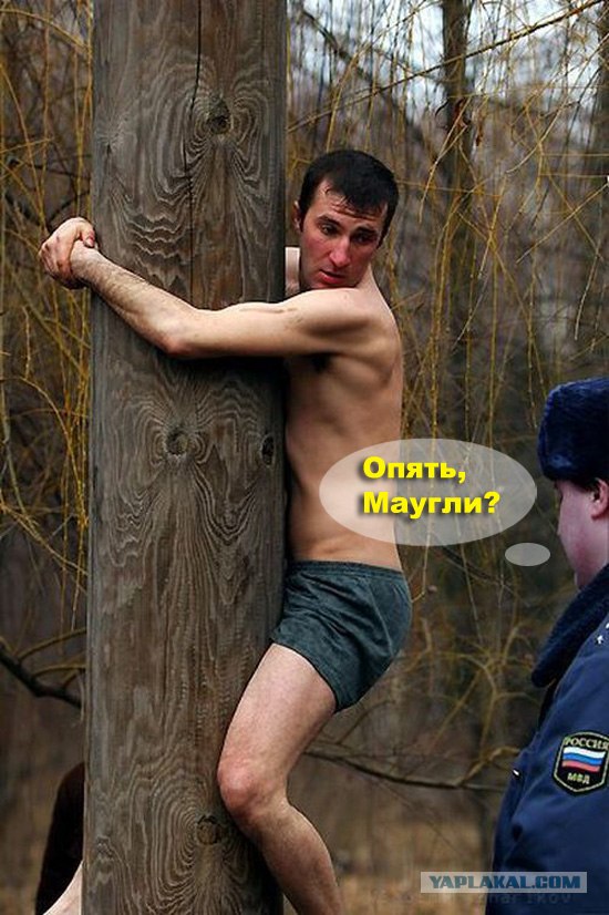 Надпись-жаба: Кто вы такие? Я вас не звал!