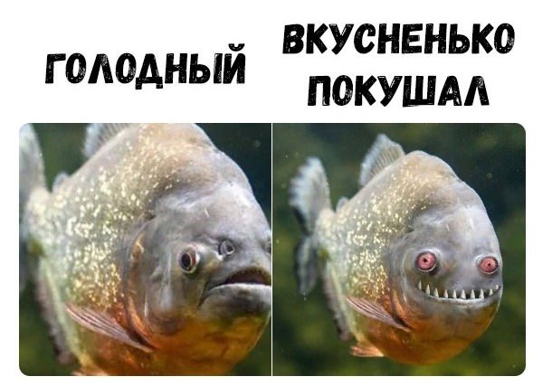 Так себе картинки 21.06.20