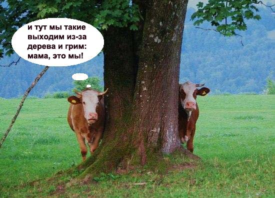 Как ты думаешь, измена скора отпустит?