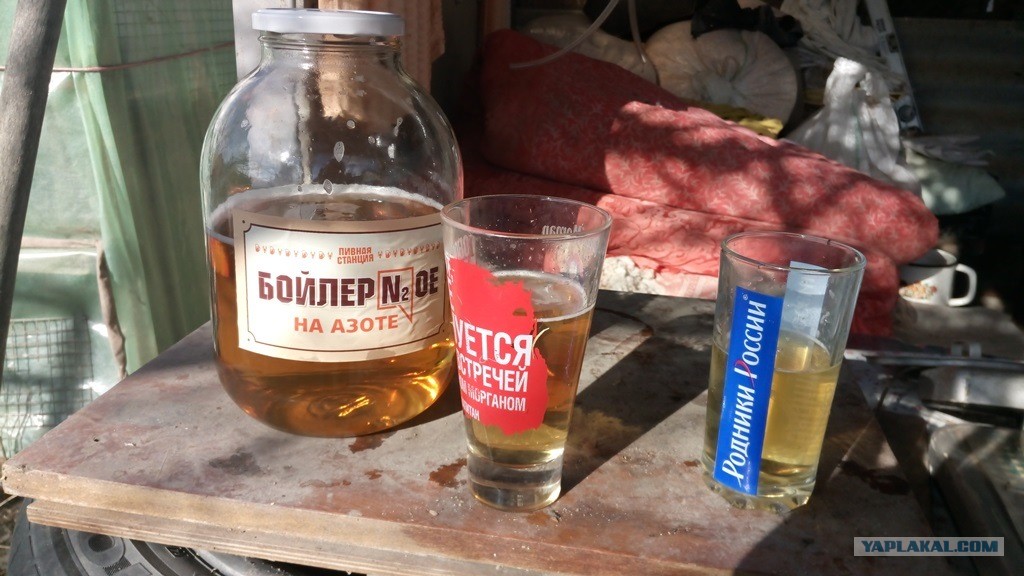 Пиво Панкрат Купить В Москве
