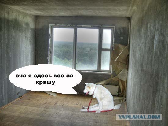 Подожжем на Новый Год?