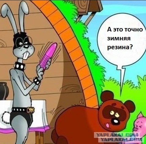 Справедливо ли, что женщины жрут наравне с мужчинами?