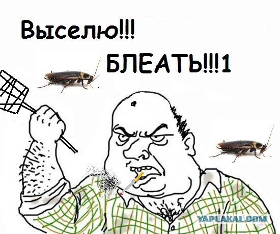 Будь мужиком, скажи что думаешь!