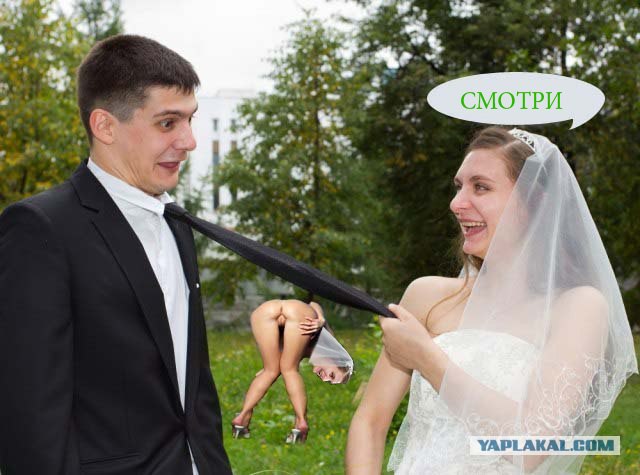 "Захомутали!"