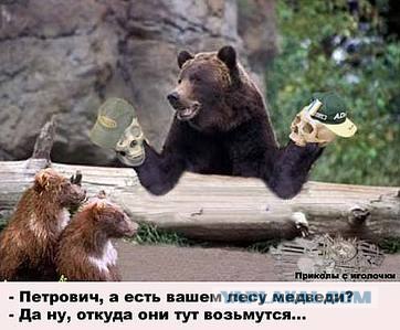 Нападение медведя на человека!