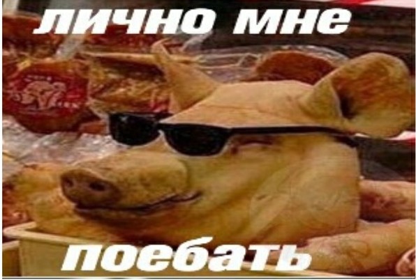 Такого веником уже не прогонишь ...