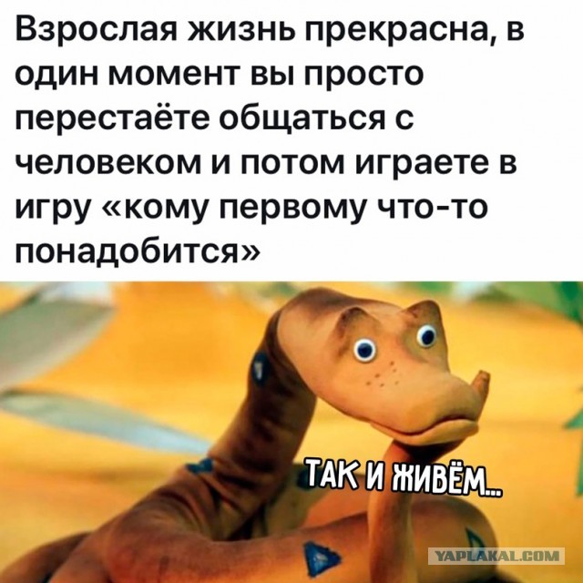 Весёлый полтишок 31.07