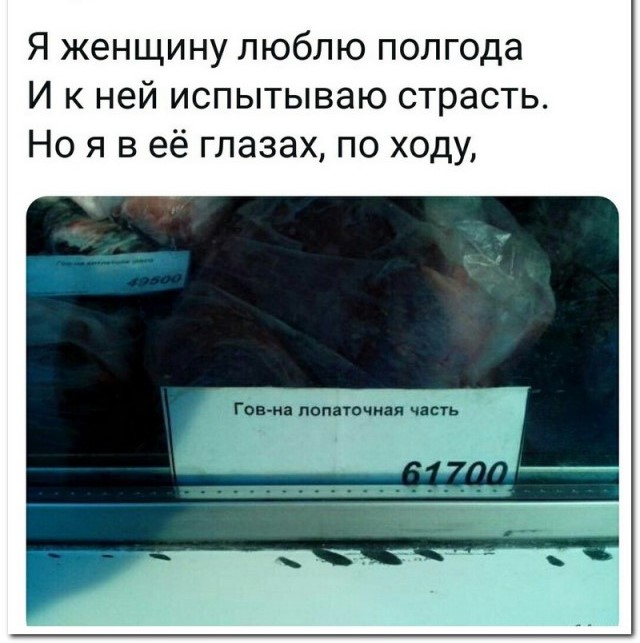 Картинки и мемы для настроения 31.08.2021