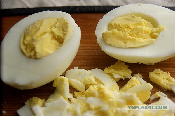 International одной книги., В память о Дженибеке.