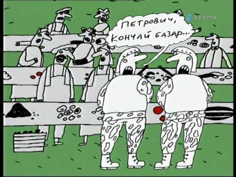 Власти Самары жёстко зачистили рынок, где мигранты швырнули огрызок в старика