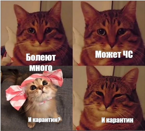 Пандемия. Коронавирус. Россия и мир. Последняя информация. Часть 26