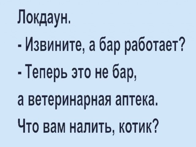 16166895.jpg