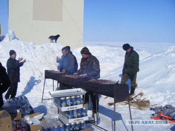 Жизнь на Новой земле.