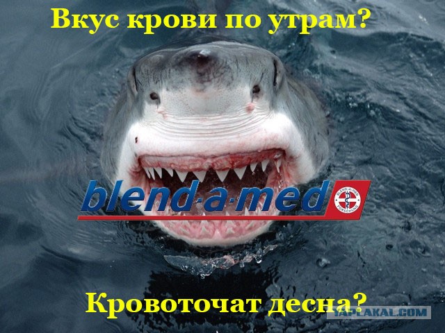 Рыбов, показываю. Красивое
