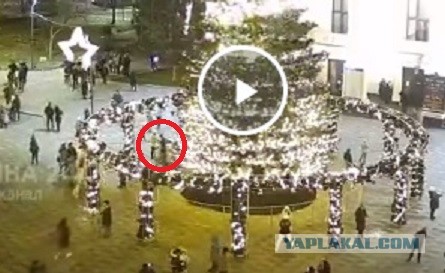В Мариуполе ветер повалил центральную новогоднюю ёлку