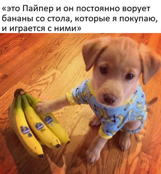 Картинки и мемы, всем прекрасных выходных