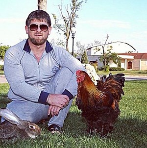 Мужик vs петушок