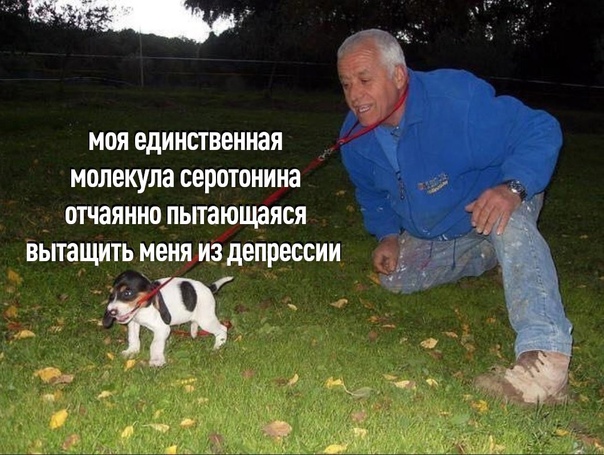 Небольшая подборка про последнюю преграду на пути "уезжающей крыши" - серотонин