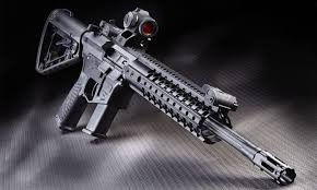 Покормил на свою голову