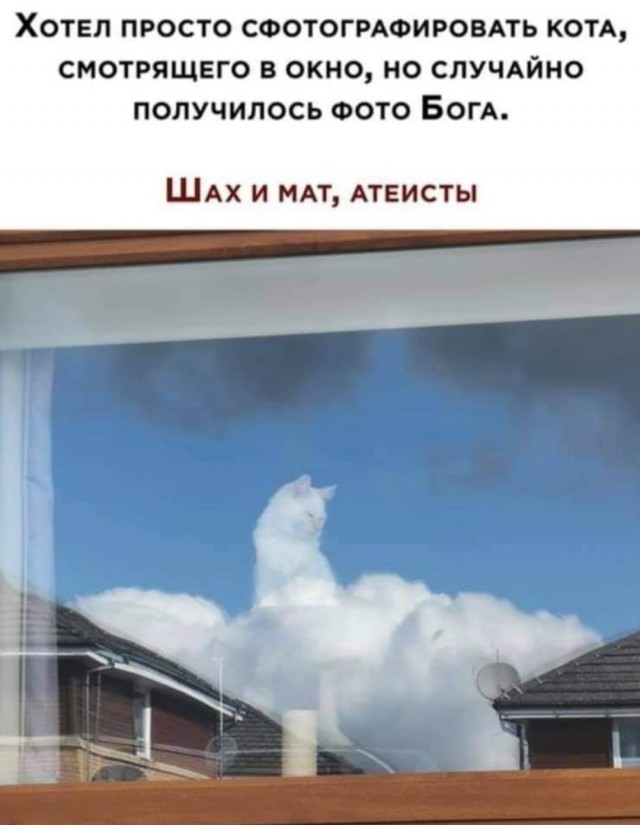 Так себе картинки 13.04.22