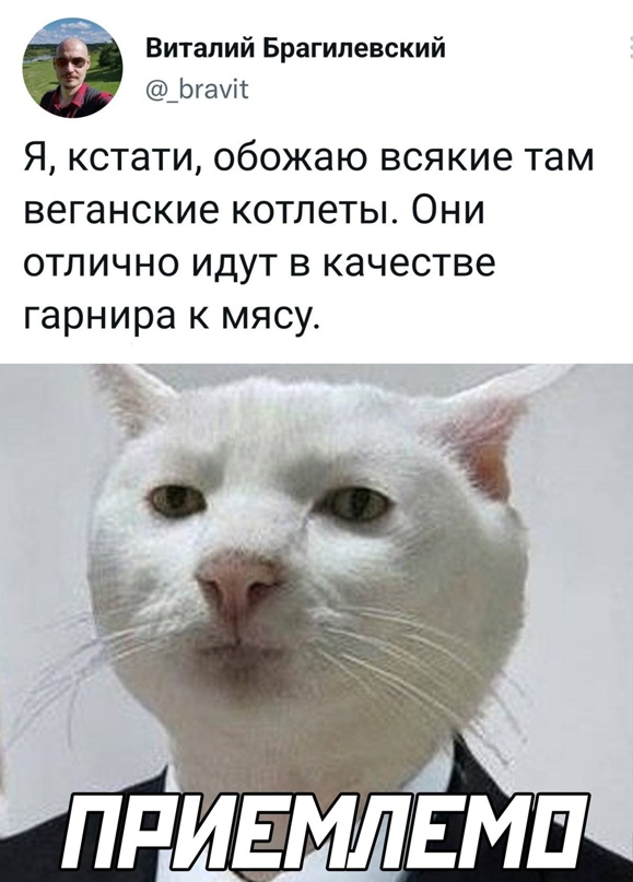 Весёлый полтишок 20.04.22