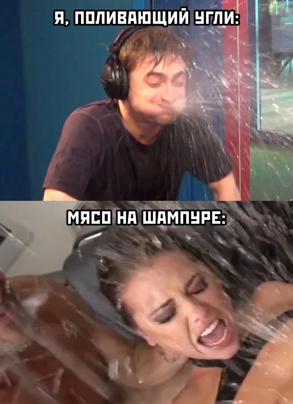 Весёлый полтишок 17.05.22