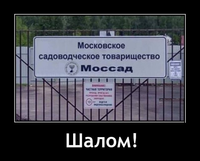 Весёлый полтишок 11.07.22