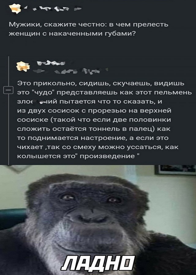 Картинки и мемы, всем хороших выходных